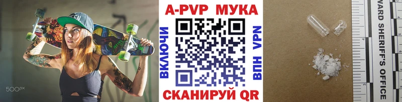 A-PVP СК  Шенкурск 