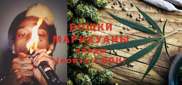 шишки Магас