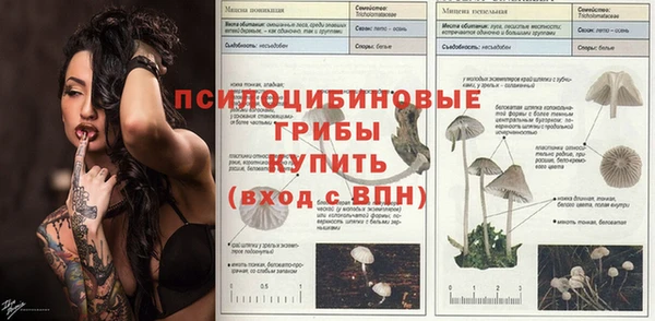 mdpv Медвежьегорск